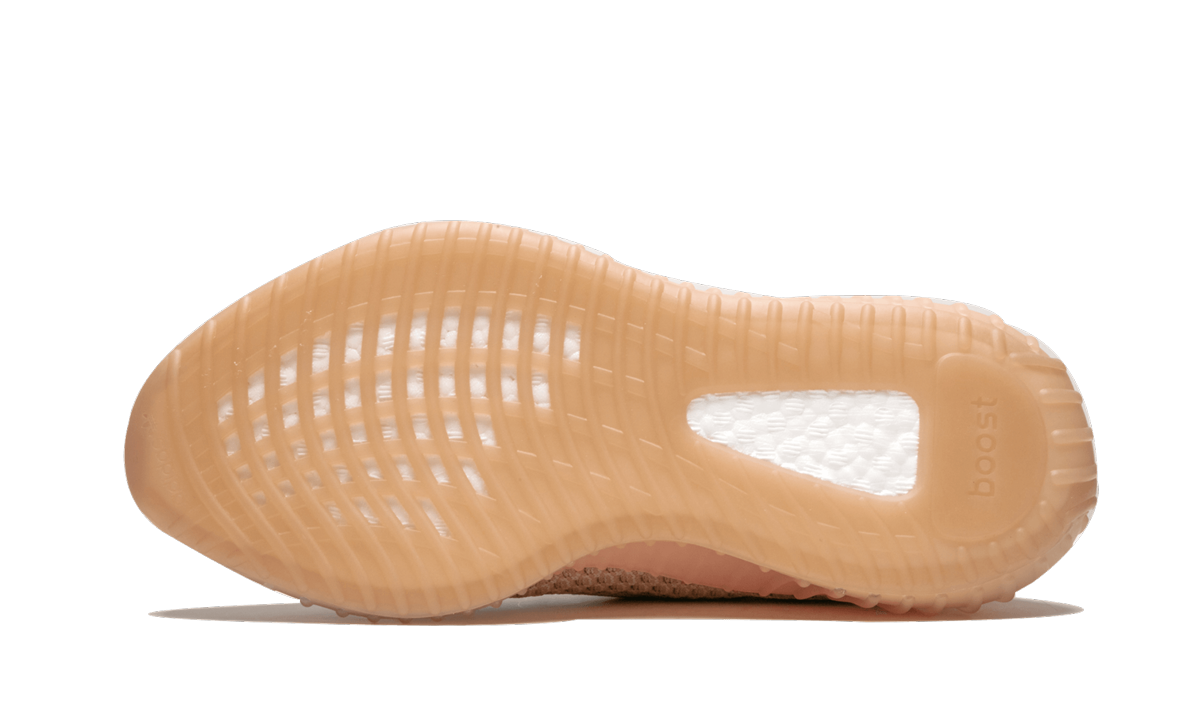 Yeezy Boost 350 V2 "Clay" EG7490