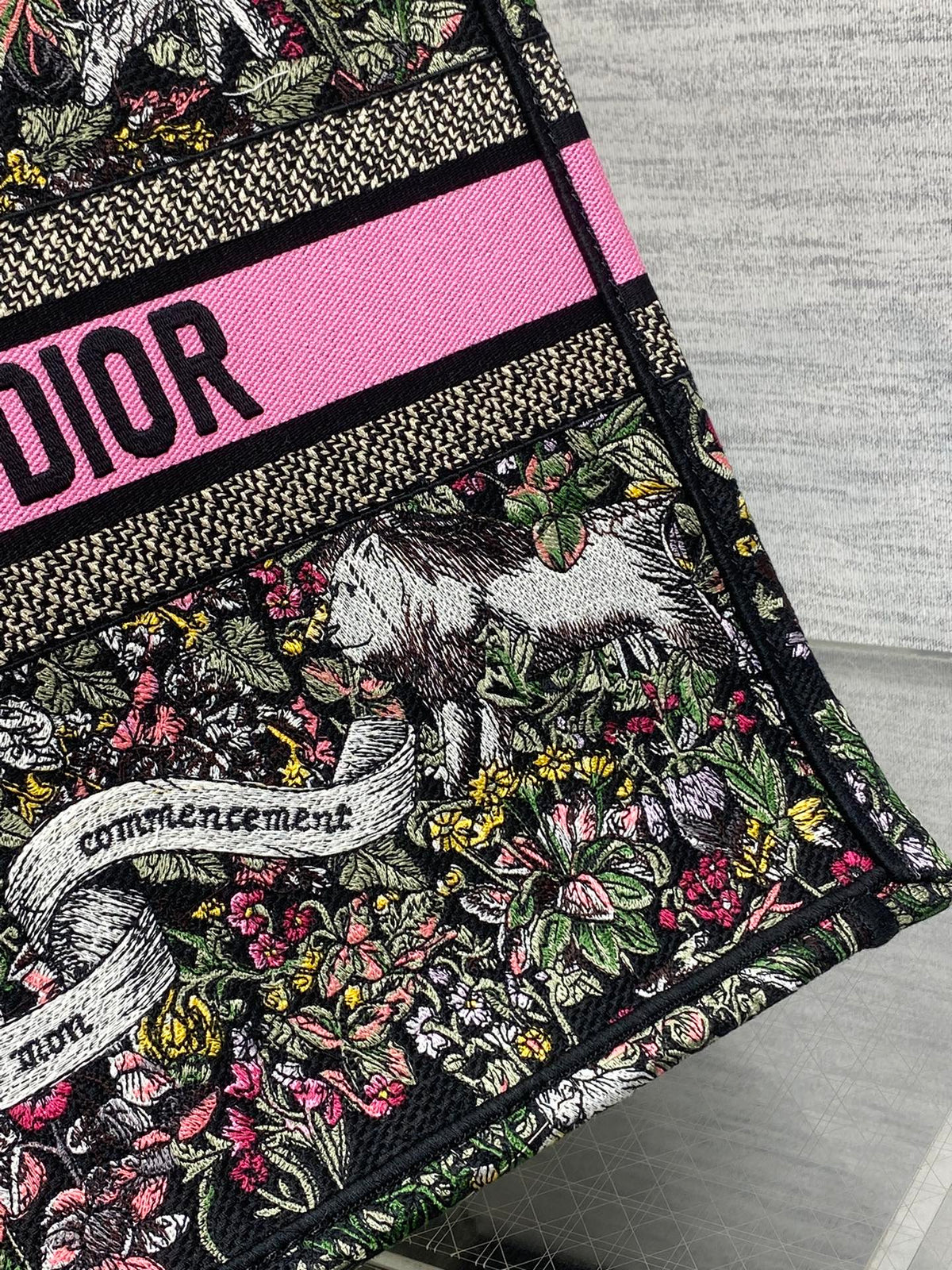 Dior 2026 Around The World Tote Bag Canvas 542528