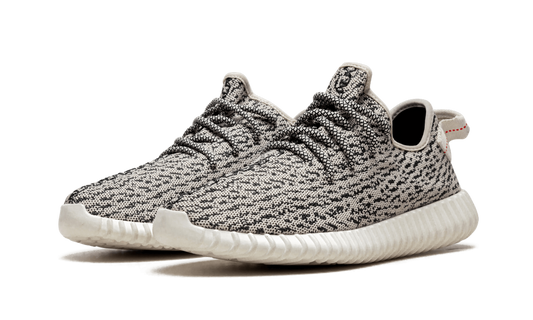 Yeezy Boost 350 "Turtle Dove" AQ4832