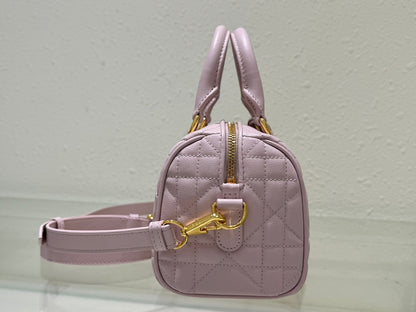 Dior 2026 Groove Bag Pink Calfskin Gold Hardware