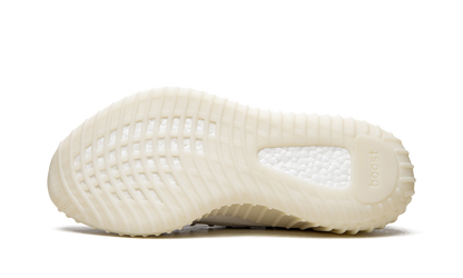 Yeezy Boost 350 V2 CMPCT "Slate Bone" H06519