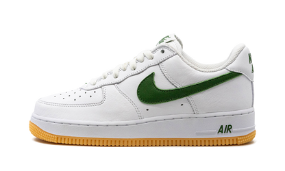 Air Force 1 Low "Color Of The Month" FD7039 101