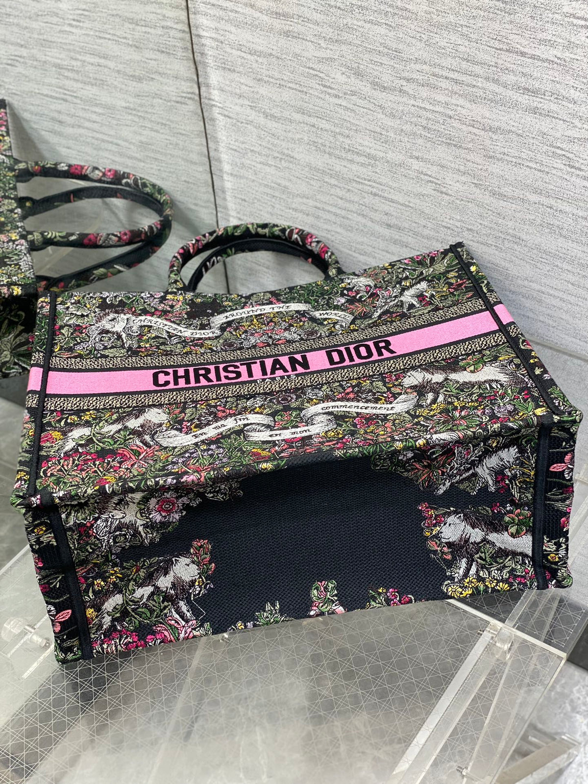 Dior 2026 Around The World Tote Bag Canvas 542528