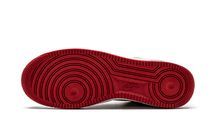 Air Force 1 Low Premium "Year Of Dog" 313404 611