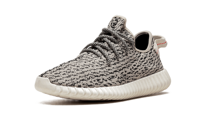 Yeezy Boost 350 "Turtle Dove" AQ4832