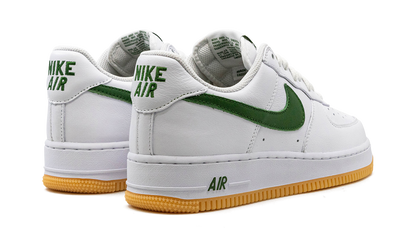 Air Force 1 Low "Color Of The Month" FD7039 101